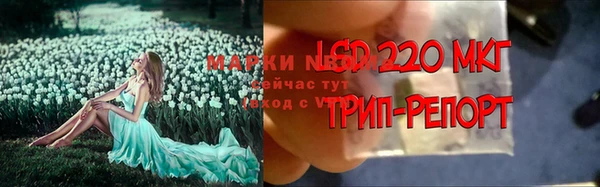 прущий лед Кулебаки
