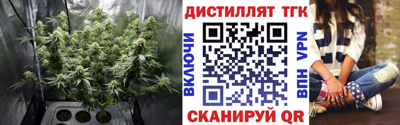 Купить где  Андреаполь  ТГК вейп 
