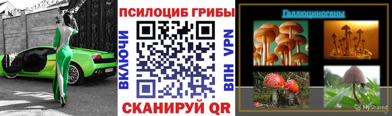 Галлюциногенные грибы Cubensis  Купить закладки  Андреаполь 